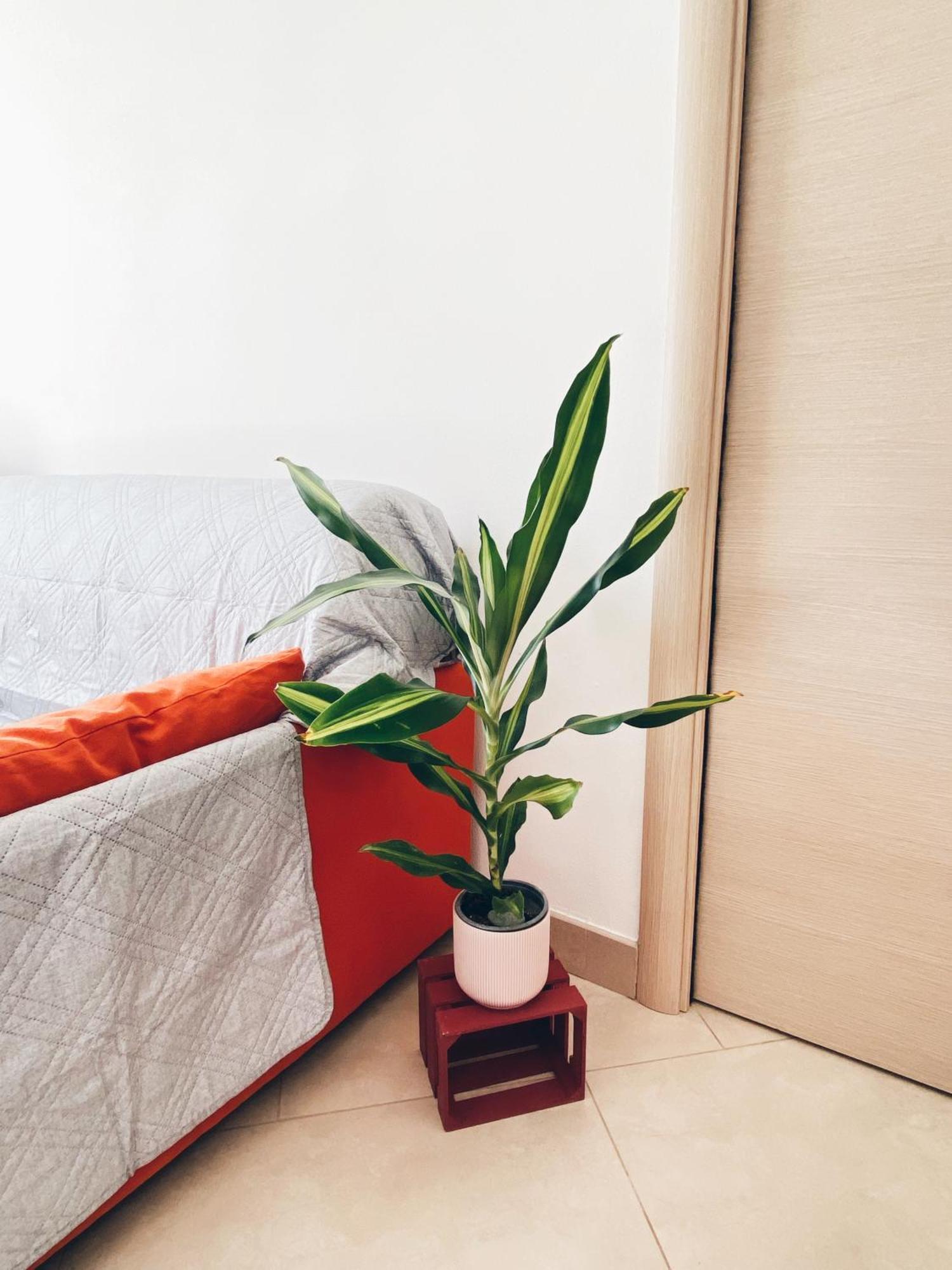 Apartment In Siena With Private Parking Esterno foto